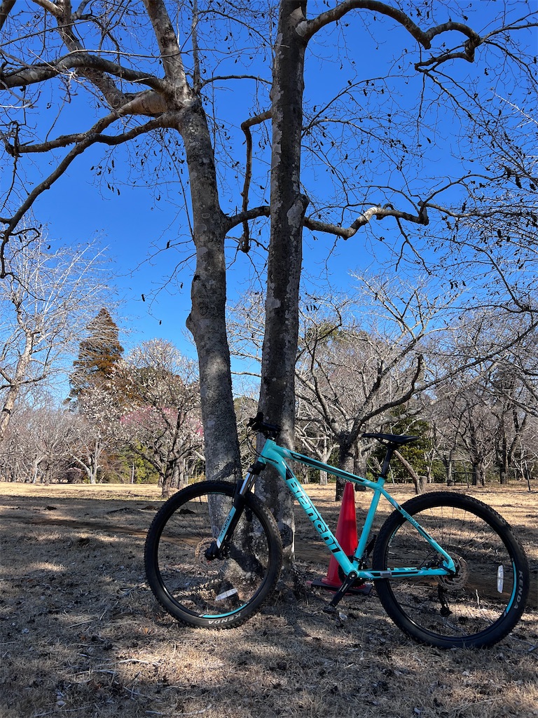 f:id:perorikun:20241230183623j:image