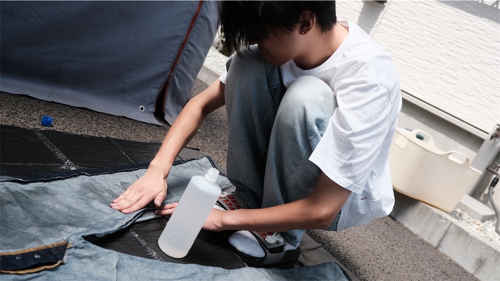 f:id:perorikun:20241230183739j:image