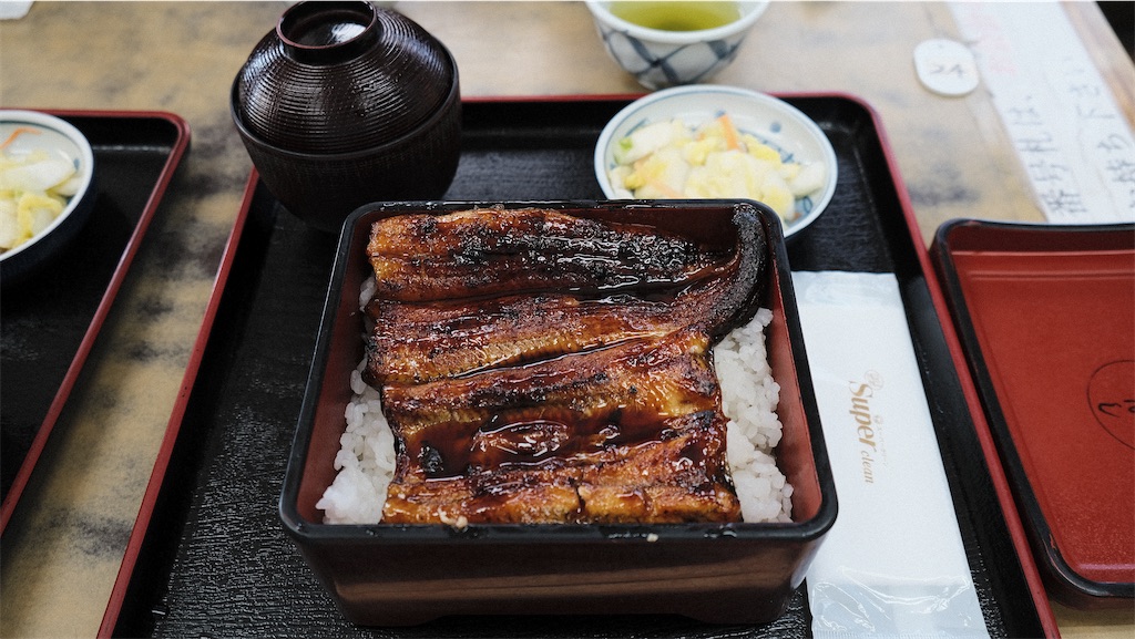 f:id:perorikun:20241230183802j:image