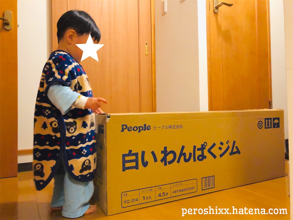 f:id:peroshixx:20181227211457j:image