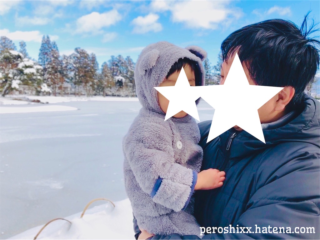 f:id:peroshixx:20190101235803j:image