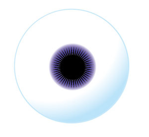 f:id:peroxpero:20080809184413j:image