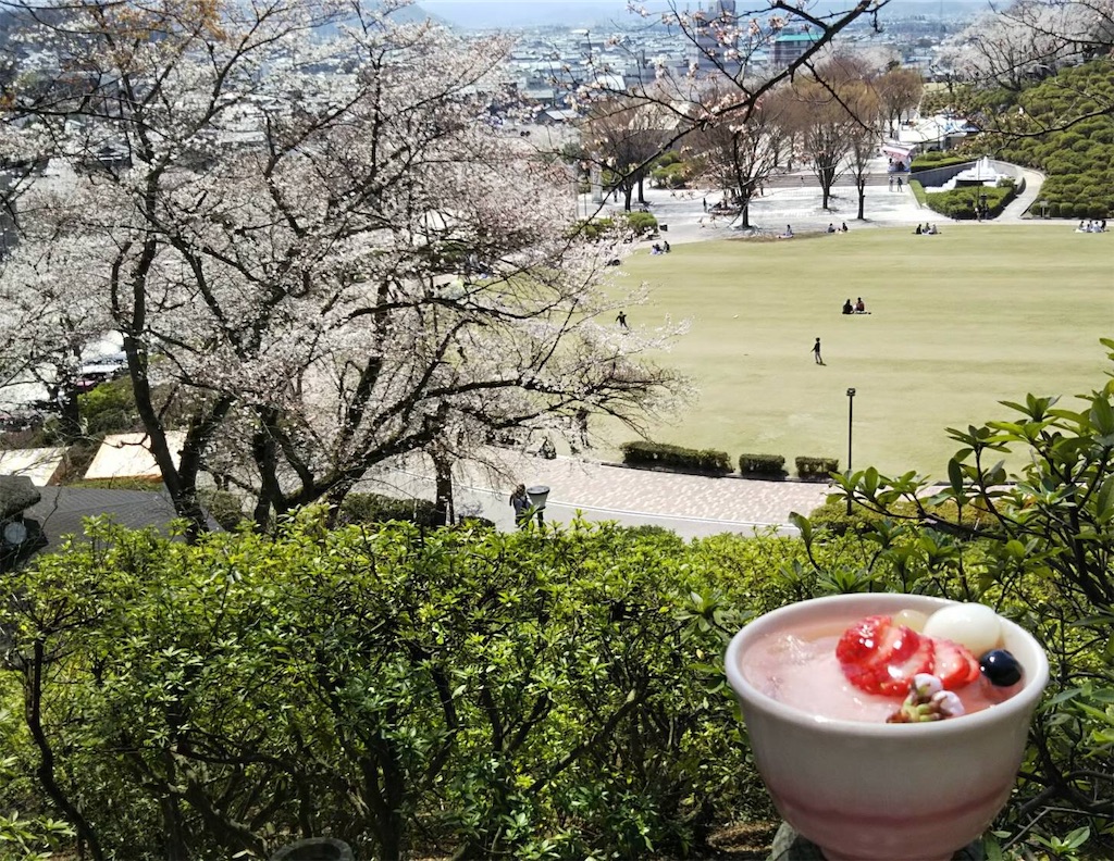 f:id:perruche3:20190405201509j:image f:id:perruche3:20190405201509j:image