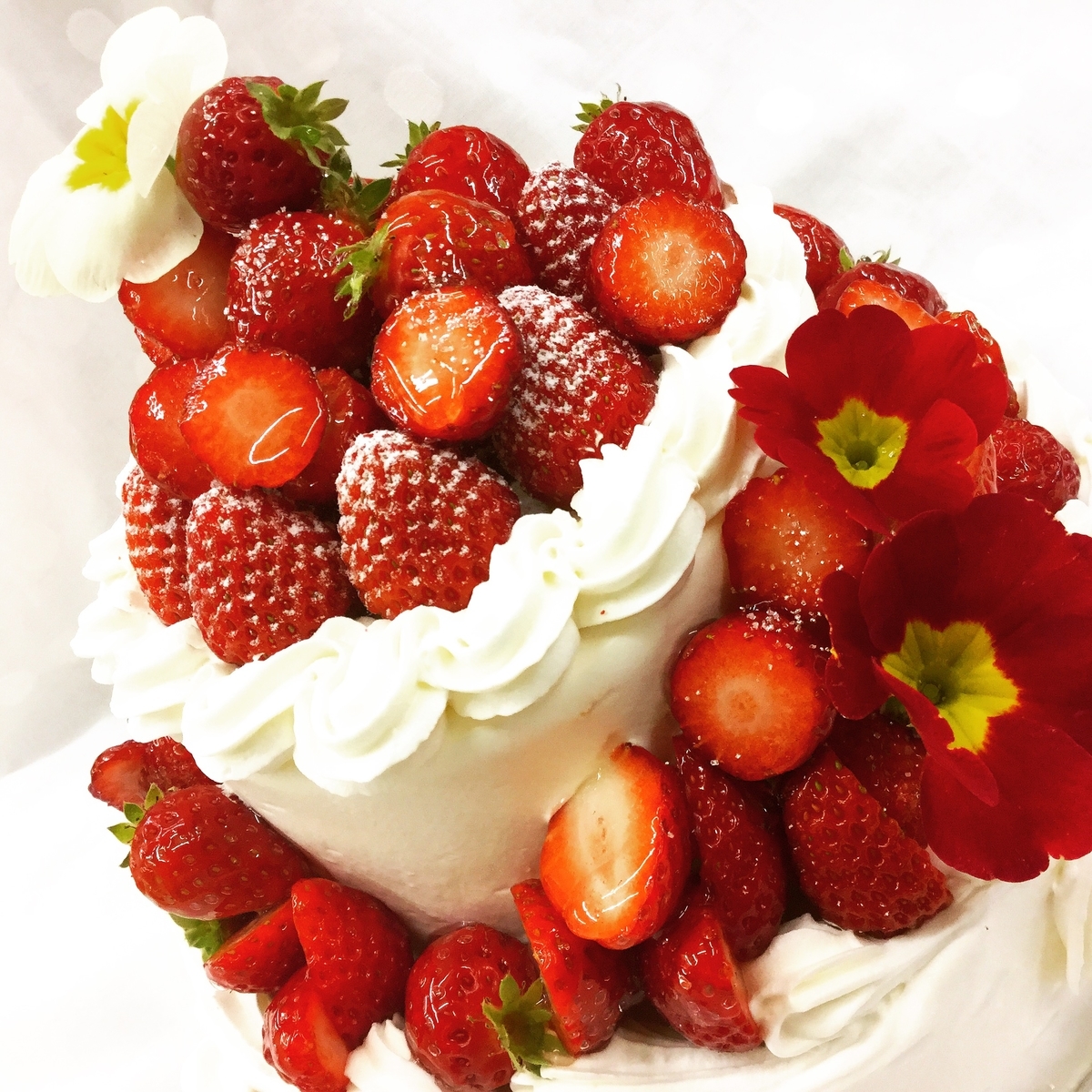f:id:perruche3:20220301160319j:plain