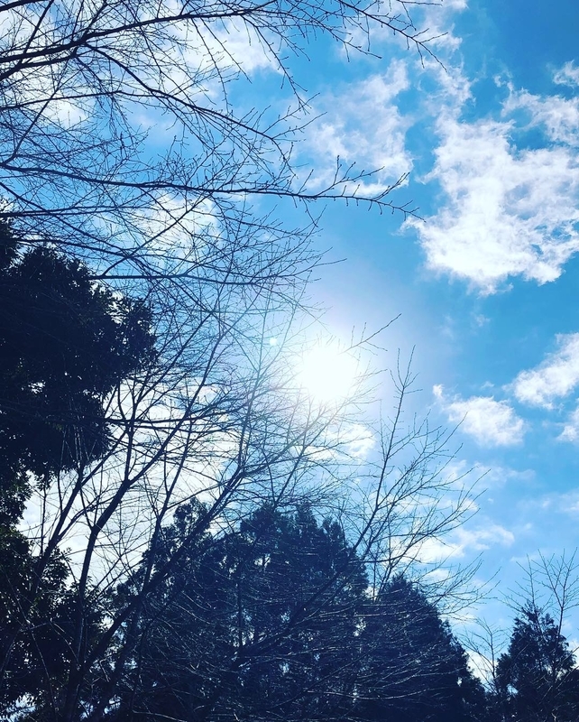 金松法然様青空