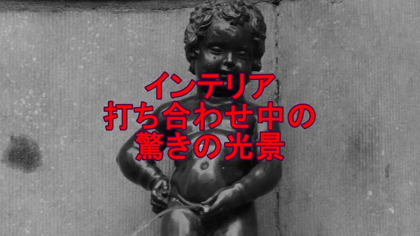 インテリア打ち合わせ中の驚きの光景 事前知識ゼロで注文住宅に挑む