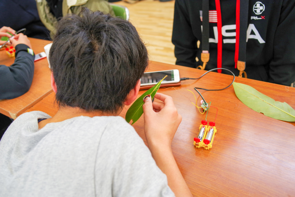 f:id:peru:20170109223942j:plain