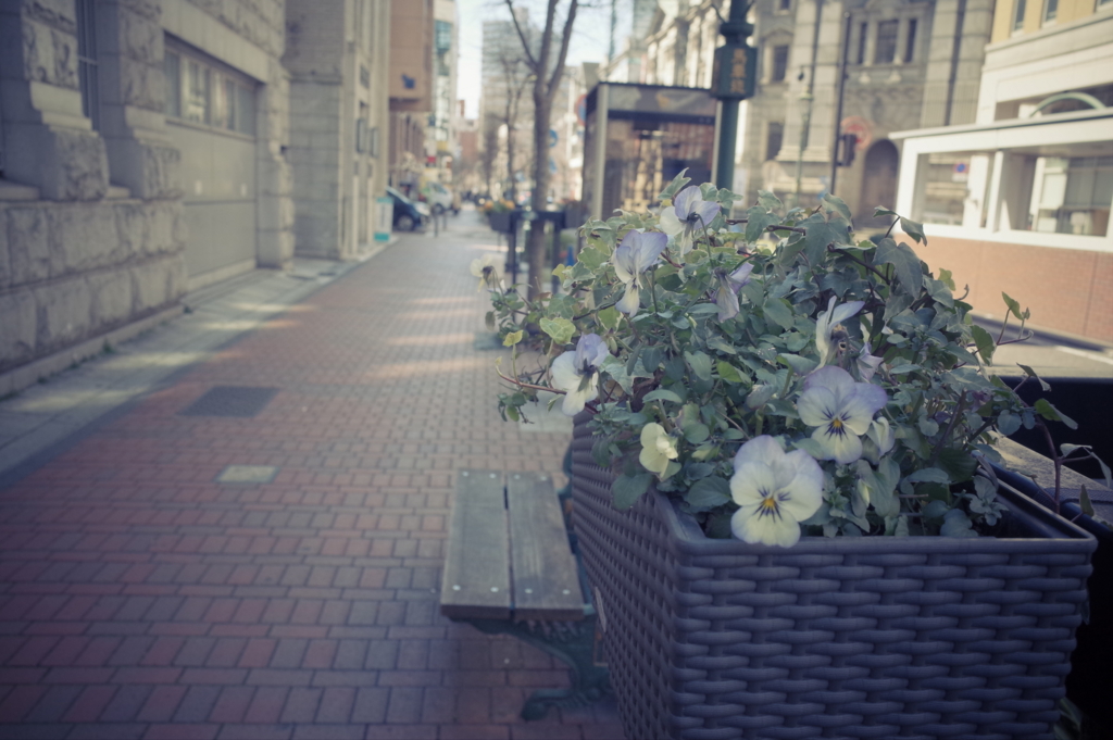 f:id:peru:20170314210123j:plain f:id:peru:20170314210123j:plain