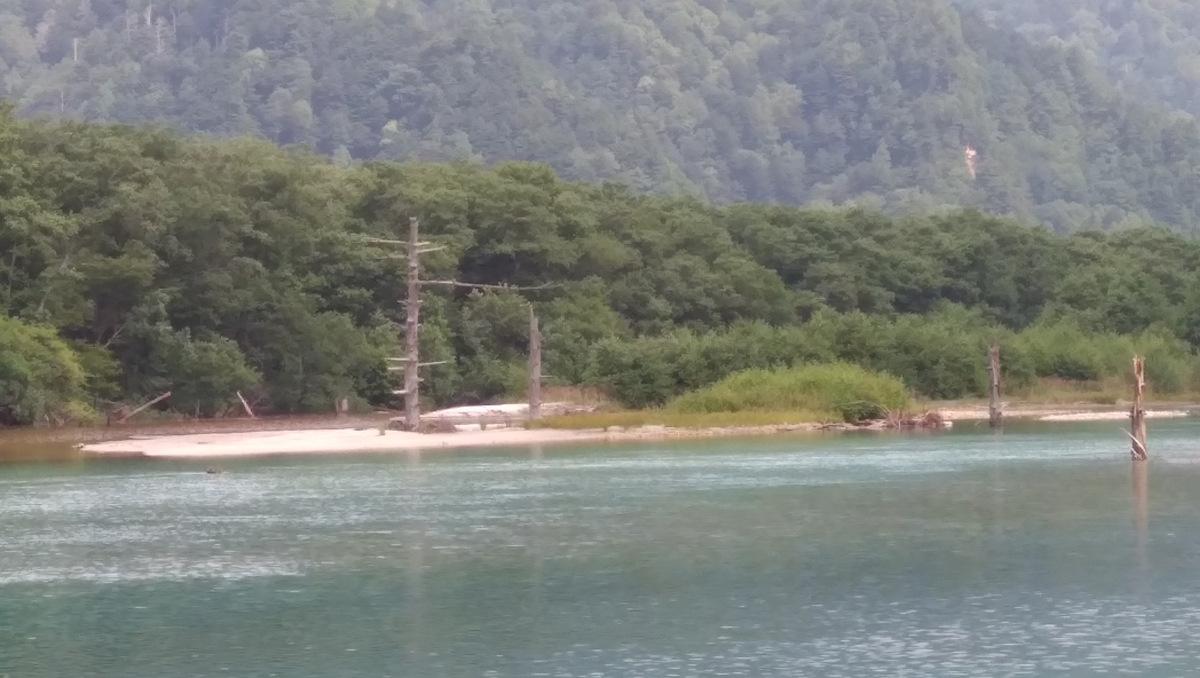 f:id:pesara:20190731164545j:plain f:id:pesara:20190731164545j:plain
