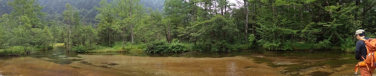 f:id:pesara:20190731164840j:plain f:id:pesara:20190731164840j:plain
