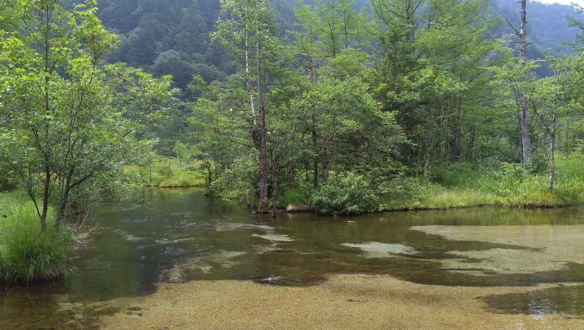 f:id:pesara:20190731164907j:plain f:id:pesara:20190731164907j:plain