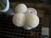 f:id:pesce:20080613125233j:image f:id:pesce:20080613125233j:image