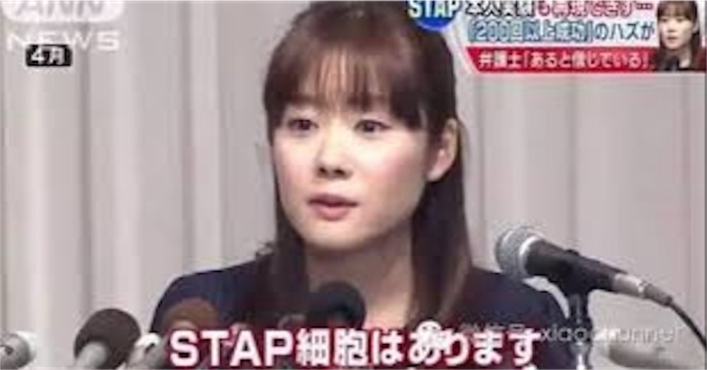 f:id:pesuron:20240203151206j:image