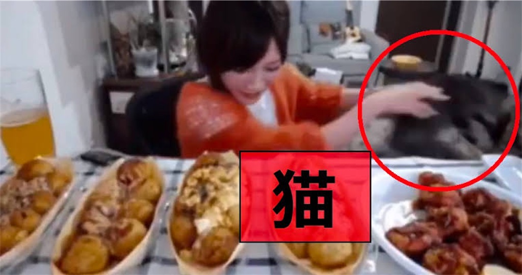 f:id:pesuron:20240205193109j:image
