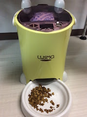 f:id:pet1122:20171106212831j:plain f:id:pet1122:20171106212831j:plain