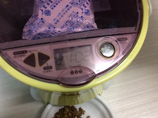 f:id:pet1122:20171106213035j:plain f:id:pet1122:20171106213035j:plain