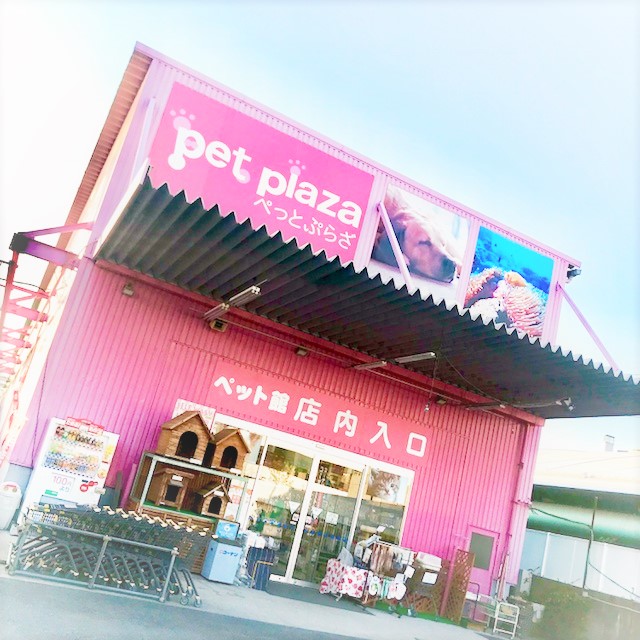  pet plaza高槻店