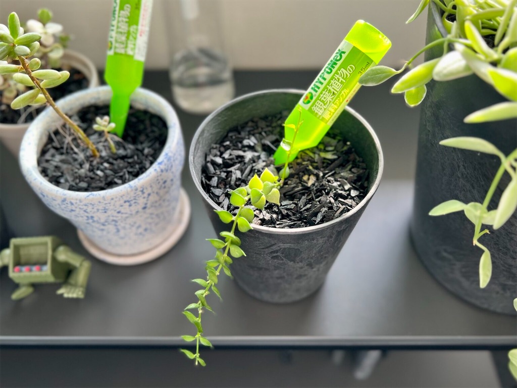 f:id:peta2o22:20230705224712j:image f:id:peta2o22:20230705224712j:image