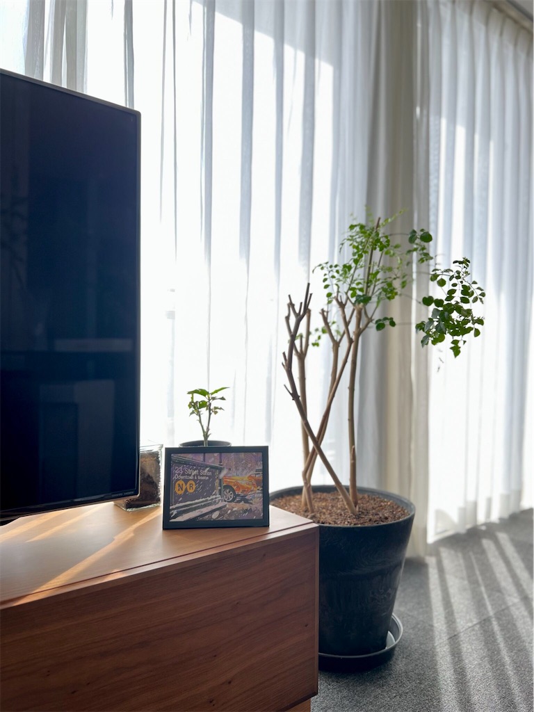 f:id:peta2o22:20230720154253j:image