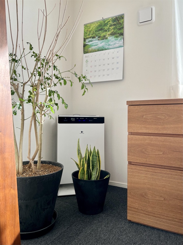 f:id:peta2o22:20230721154043j:image