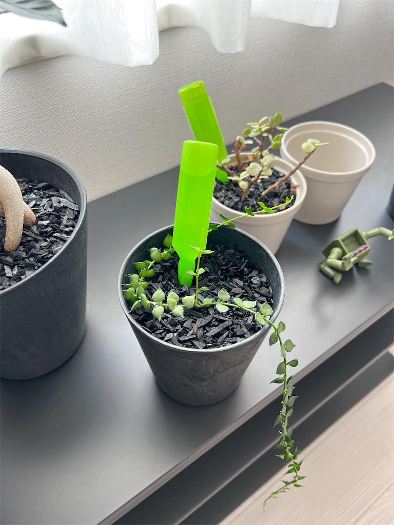 f:id:peta2o22:20230814134856j:image f:id:peta2o22:20230814134856j:image