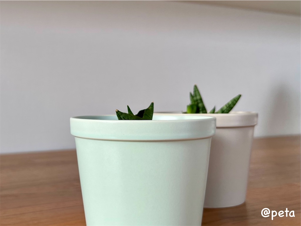 f:id:peta2o22:20231002164739j:image f:id:peta2o22:20231002164739j:image