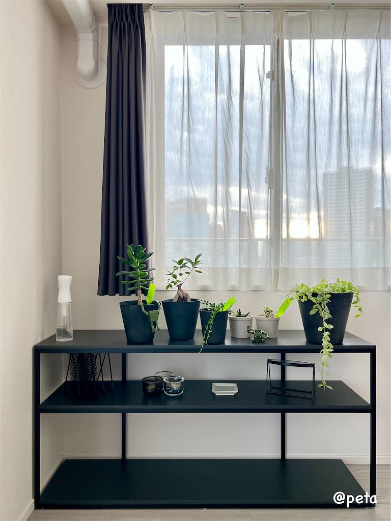 f:id:peta2o22:20231002171717j:image f:id:peta2o22:20231002171717j:image