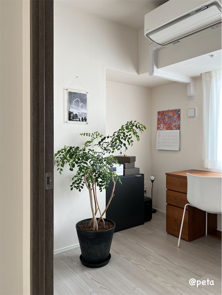 f:id:peta2o22:20231107140053j:image f:id:peta2o22:20231107140053j:image