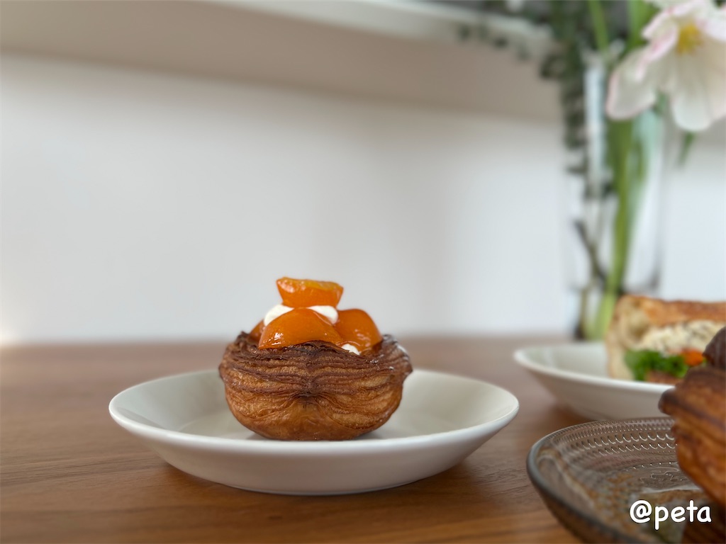 f:id:peta2o22:20240210231251j:image