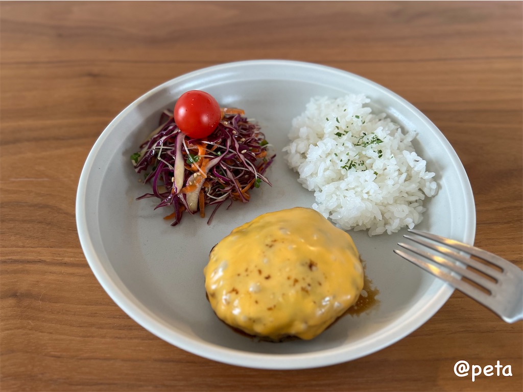 f:id:peta2o22:20240219153038j:image