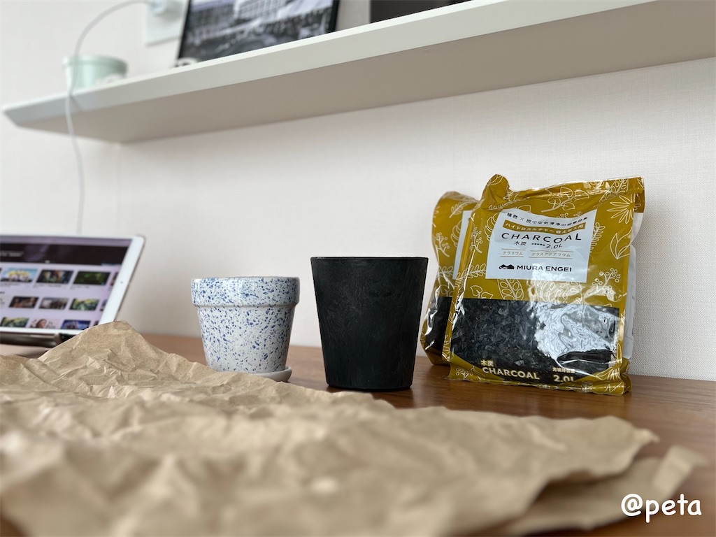 f:id:peta2o22:20240402151909j:image