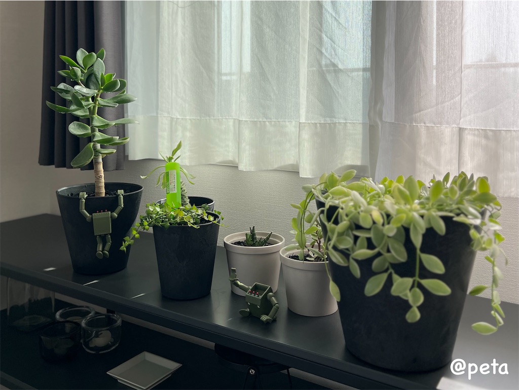 f:id:peta2o22:20240402152001j:image