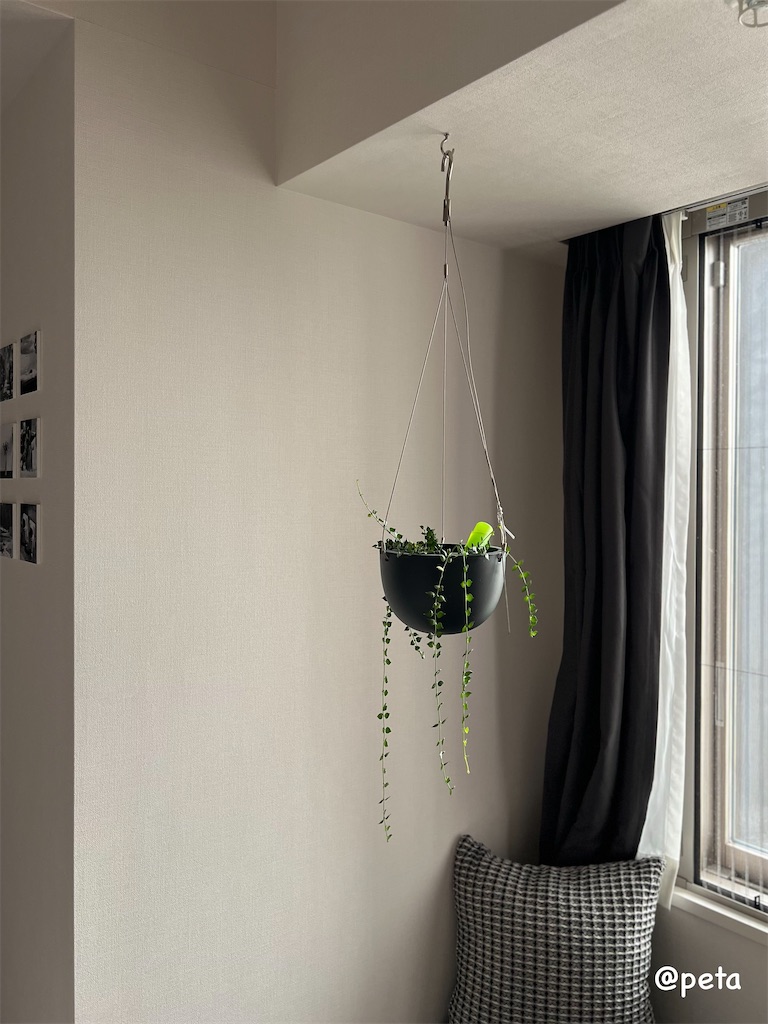 f:id:peta2o22:20240512150352j:image f:id:peta2o22:20240512150352j:image