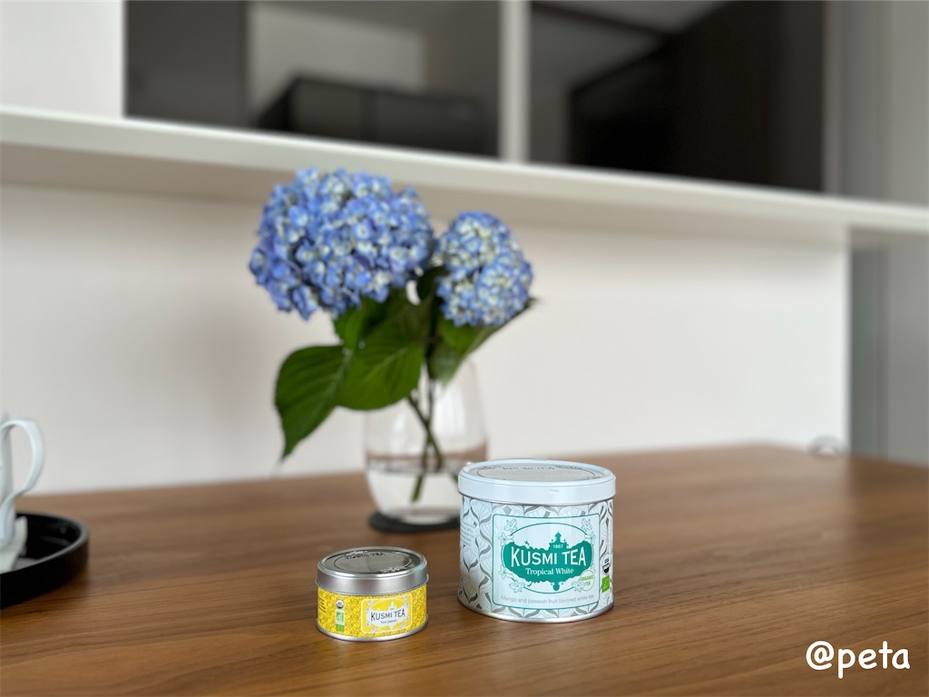 f:id:peta2o22:20240524160540j:image