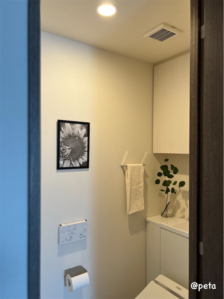 f:id:peta2o22:20240529155131j:image