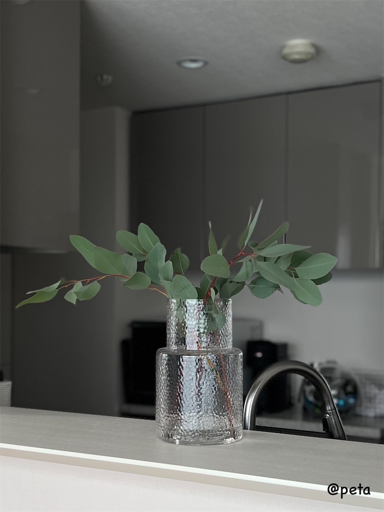 f:id:peta2o22:20241106150123j:image