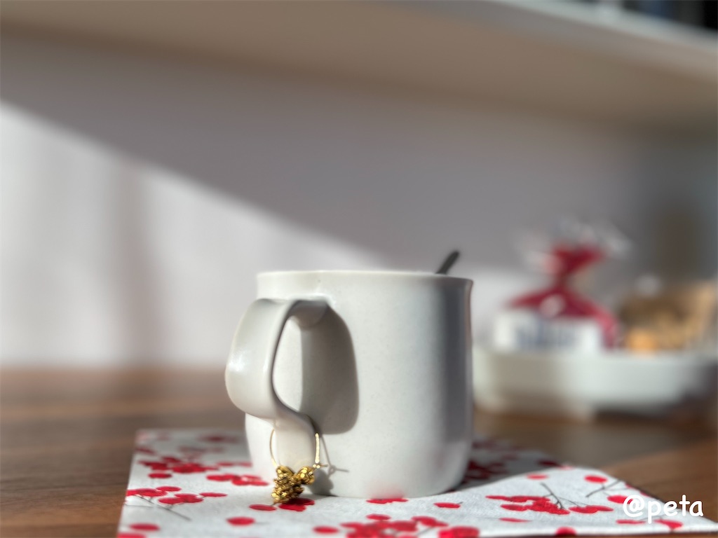 f:id:peta2o22:20241208151059j:image