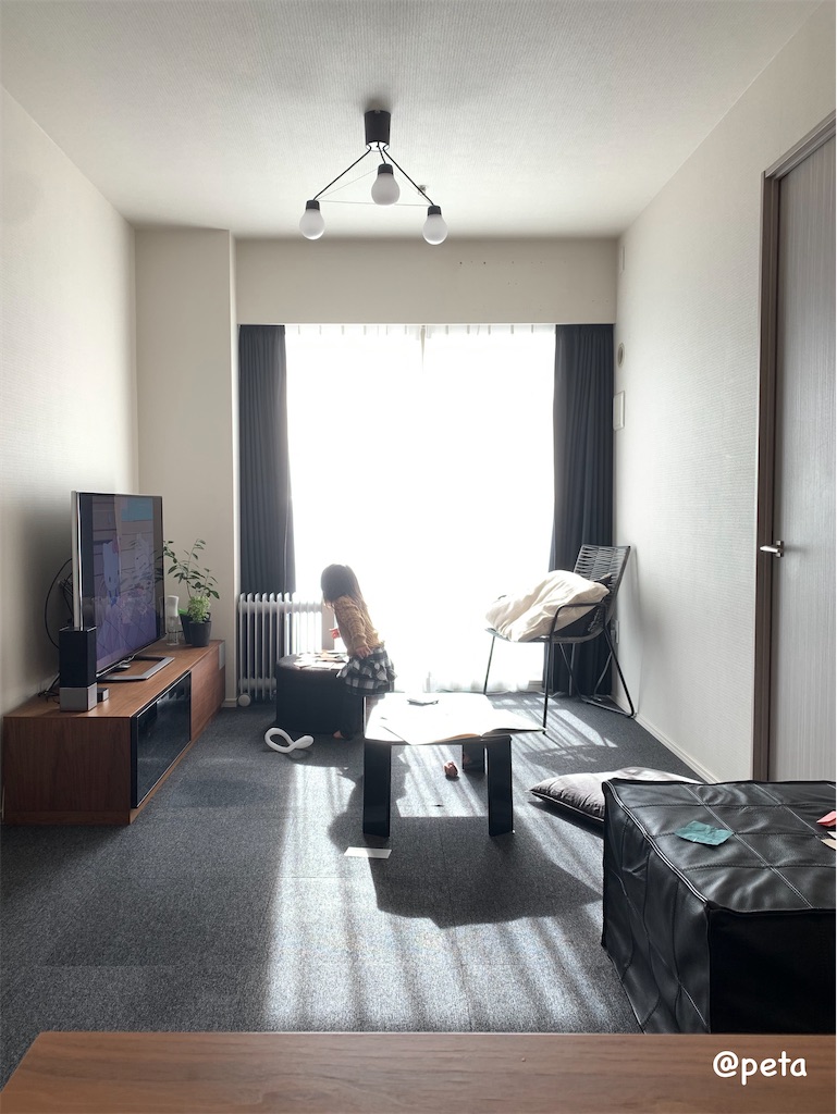 f:id:peta2o22:20250109202543j:image