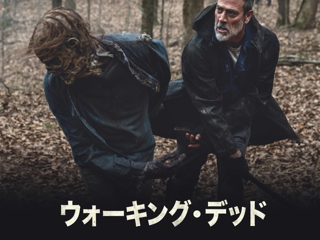 f:id:peta2o22:20250303130222j:image