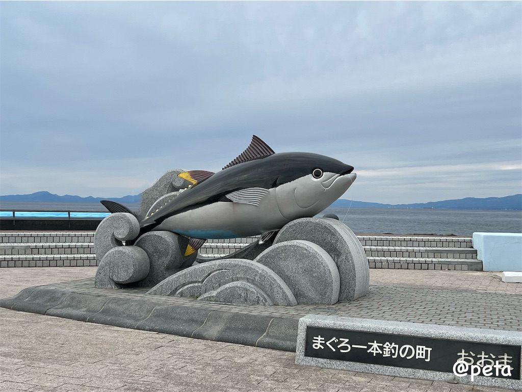 f:id:peta2o22:20251013221357j:image