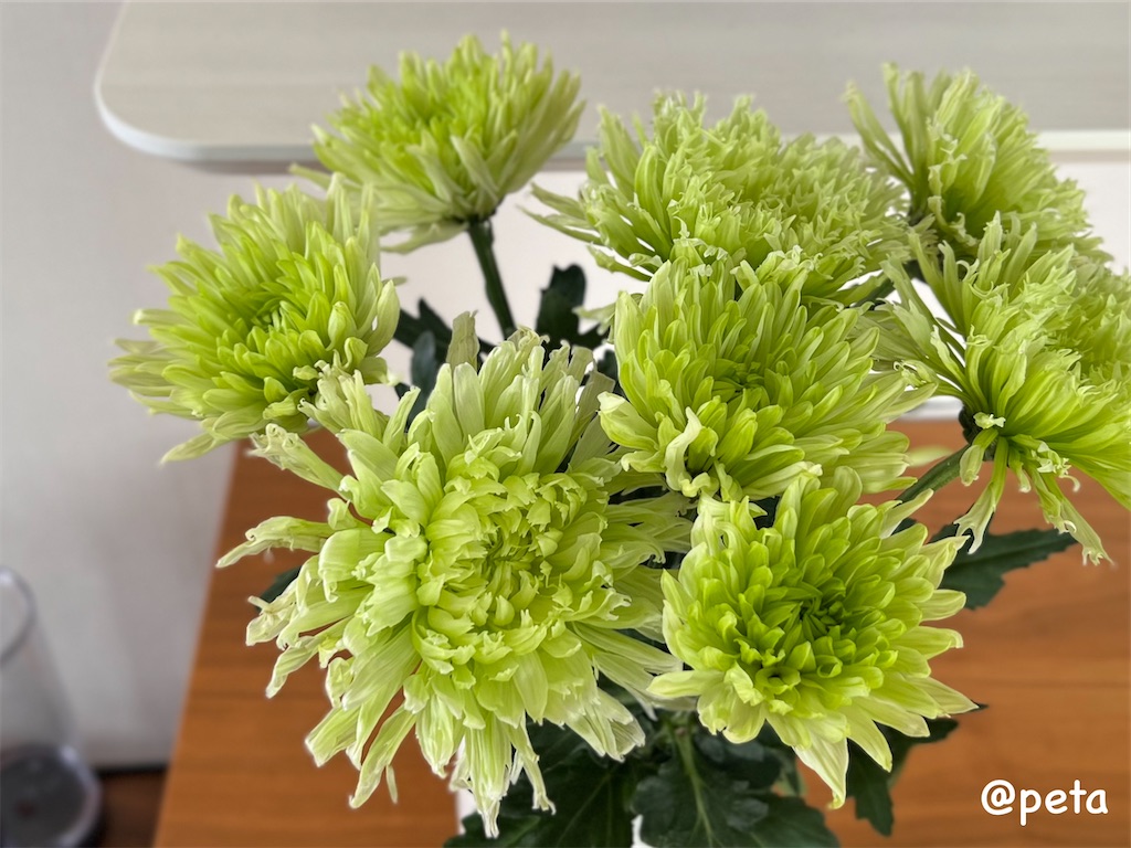 f:id:peta2o22:20260415152204j:image f:id:peta2o22:20260415152204j:image
