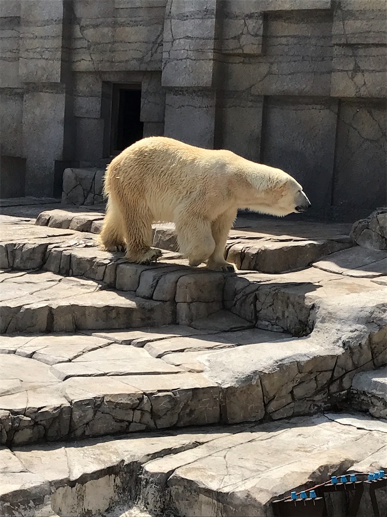 f:id:petanimal:20180426193048j:image f:id:petanimal:20180426193048j:image