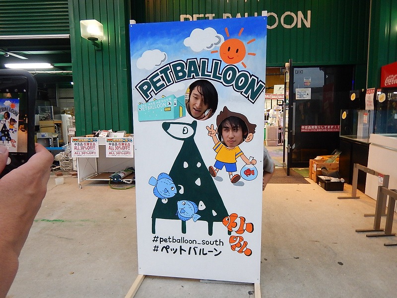 ペットバルーン 大阪府 中古引き取り 回収 中古買取 撮影スポット オーバーフロー水槽買い取らせていただきました 大阪の熱帯魚店ペットバルーンの 水草 海水魚 熱帯魚等の中古アクアリウム器具販売ブログです 中古買取 有償引き取り回収を行っており