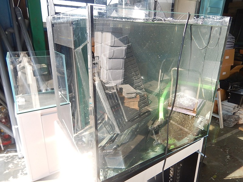お持ち込み査定ありがとうございます ペットバルーン 大阪府 中古引き取り 回収 中古買取 水槽 大阪の熱帯魚店ペットバルーンの 水草 海水魚 熱帯魚等の中古アクアリウム器具販売ブログです 中古買取 無償 有償引き取り回収を行っております