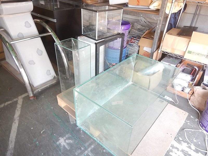 お持ち込みいただきました ペットバルーン 大阪府 中古引き取り 回収 中古買取 水槽 大阪の熱帯魚店ペットバルーンの 水草 海水魚 熱帯魚等の 中古アクアリウム器具販売ブログです 中古買取 無償 有償引き取り回収を行っております お持ち込みいただきました ペットバルーン 大阪府 中古引き取り 回収 中古買取 水槽 大阪の熱帯魚店ペットバルーンの 水草 海水魚 熱帯魚等の 中古アクアリウム器具販売ブログです 中古買取 無償 有償引き取り回収を行っております