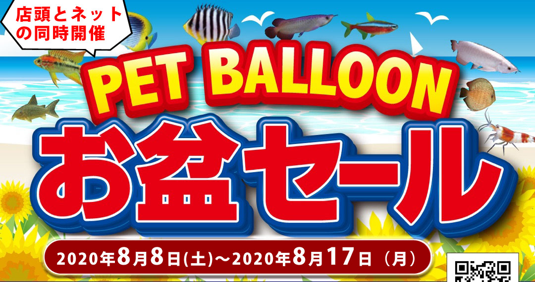 お盆セール ペットバルーン 大阪府 中古引き取り 回収 中古買取 水槽 大阪の熱帯魚店ペットバルーンの 水草 海水魚 熱帯魚 等の中古アクアリウム器具販売ブログです 中古買取 無償 有償引き取り回収を行っております