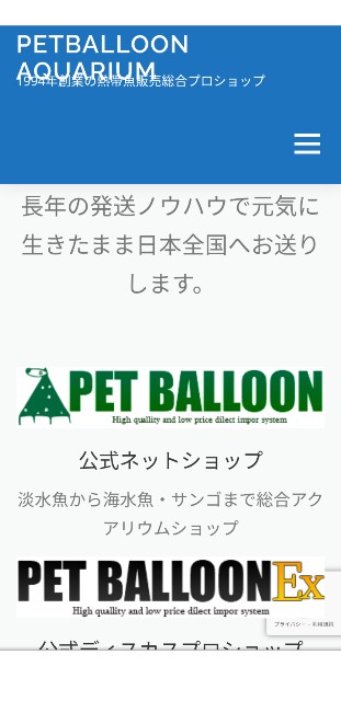 f:id:petballoon:20201013190818j:image