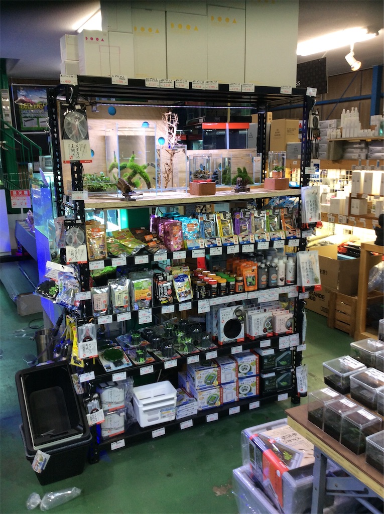 メダカコーナー ペットバルーン 大阪府 Ada 中古引き取り 中古買取 水槽 大阪の熱帯魚店ペットバルーンの 水草 海水魚 熱帯魚 等の中古アクアリウム器具販売ブログです 中古買取 有償引き取り回収を行っております