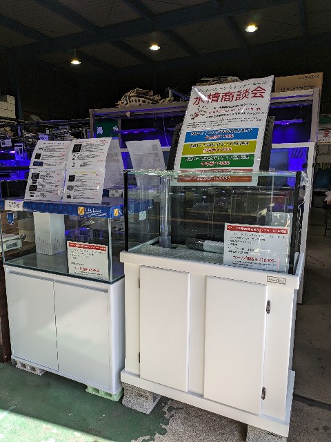 水槽商談会 明日まで！【ペットバルーン・大阪・ADA・中古・買取 