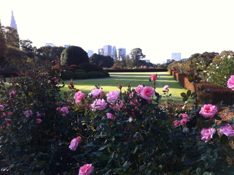 f:id:petersham:20121025130841j:image:w360 f:id:petersham:20121025130841j:image:w360